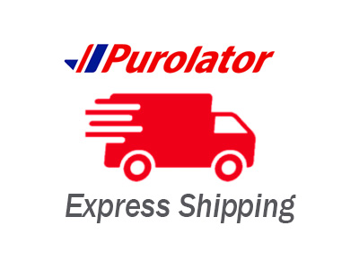 Purolator Express Shipping for small items