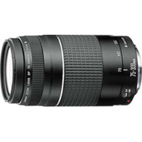 75-300mm f4-5.6 III  EF Lens