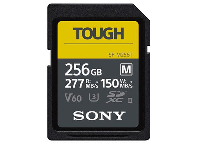 256GB M Series Tough SD Card