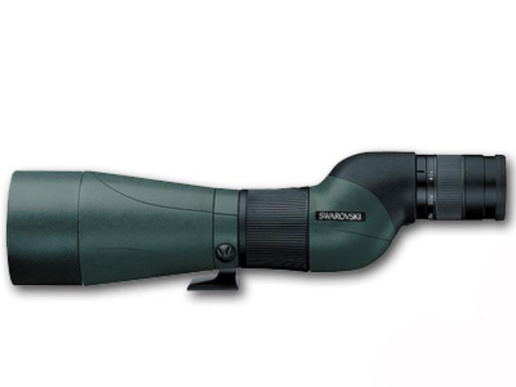STS-80 HD Straight Scope w/25-50x Eyepiece Kit #