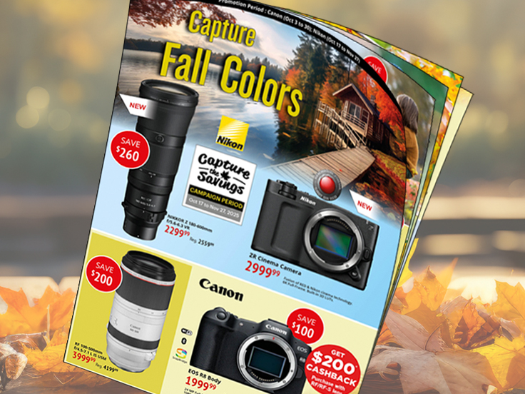 Capture Fall Colours