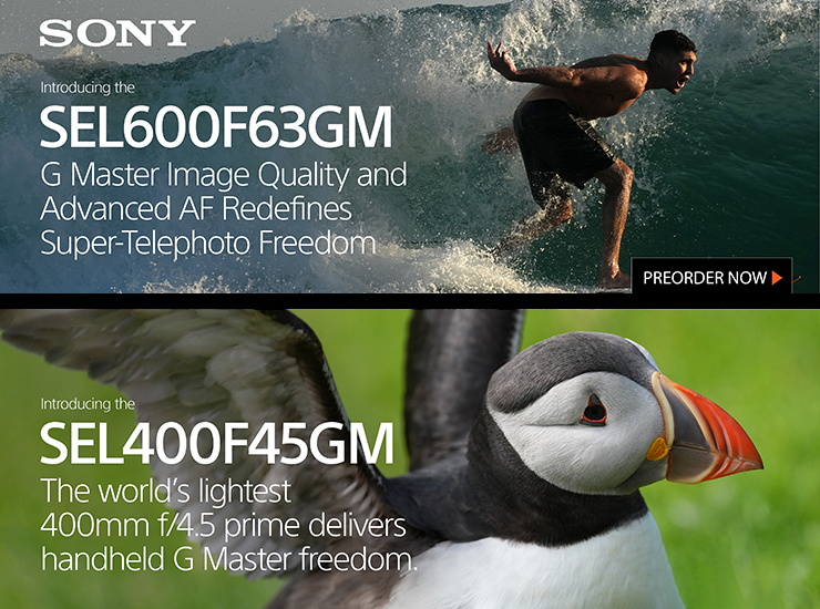 SONY
