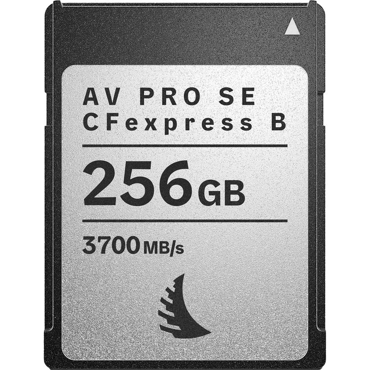 256GB AV PRO SE CFexpress v4 Type B Memory Card